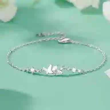DVNRR s925