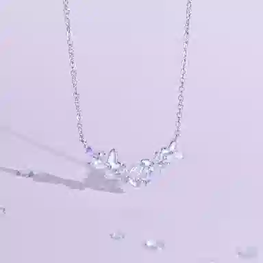 DVNRR