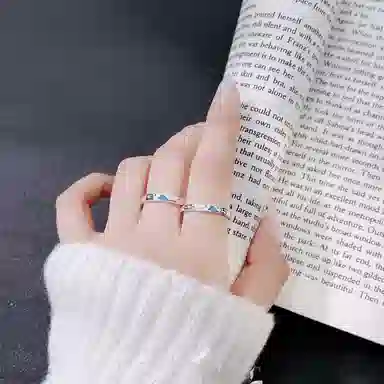 DVNRR 925