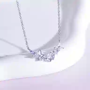 DVNRR