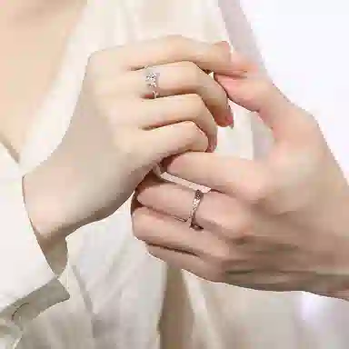 DVNRR s925