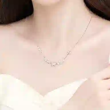 DVNRR s925
