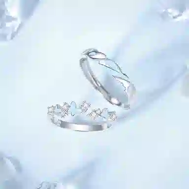 DVNRR 925