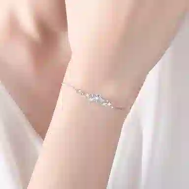 DVNRR s925