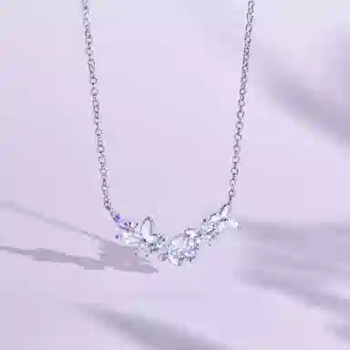 DVNRR