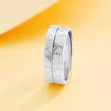 DVNRR s925
