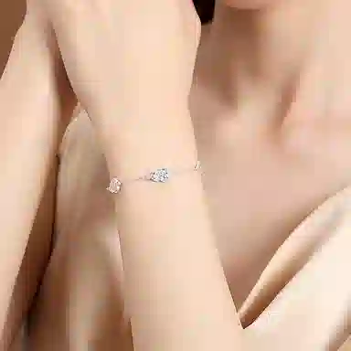 DVNRR s925