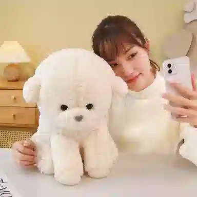 30*22*20CM0.32kg35*25*28CM0.5kg