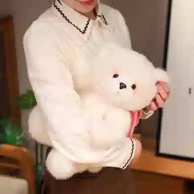 狐狸仙 可爱小熊 泰迪熊 玩偶 毛绒公仔