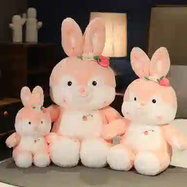 30cm45cm60cm50cm70cm