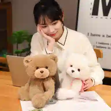 狐狸仙 可爱小熊 泰迪熊 玩偶 毛绒公仔