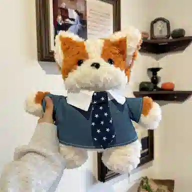 30cm