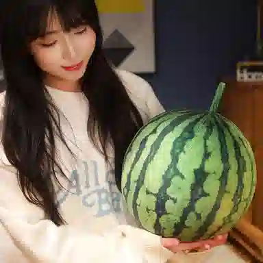 3D 9cm23cm33cm