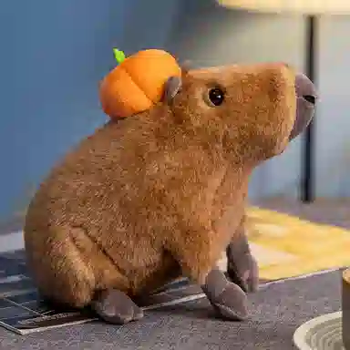 30cm