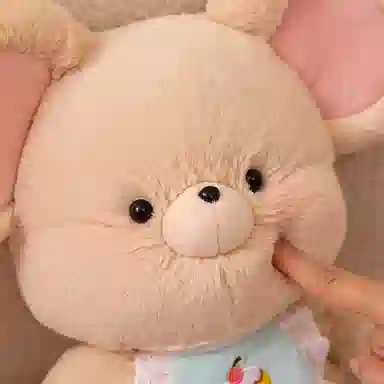 30cm50cm
