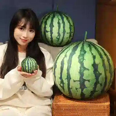 3D 9cm23cm33cm
