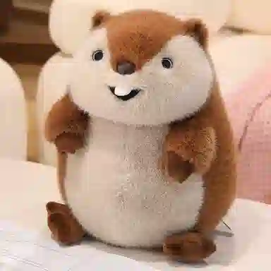 12cm35cm
