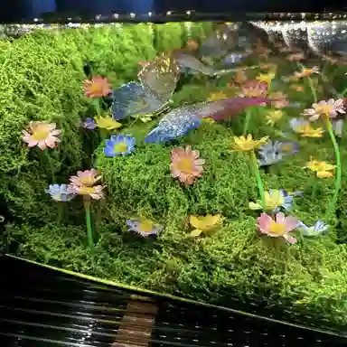 JIUFEN diy