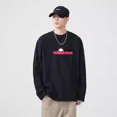HIPANDA T