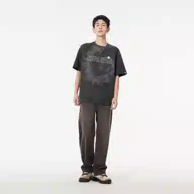 HIPANDA T