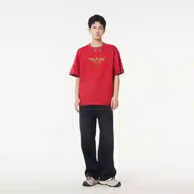 HIPANDA T