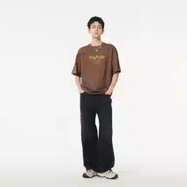 HIPANDA T