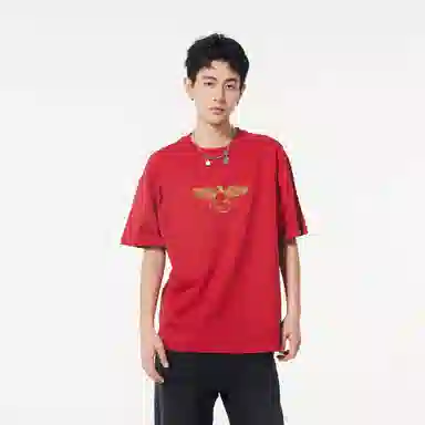 HIPANDA T