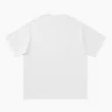 HIPANDA T