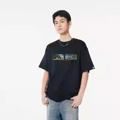 HIPANDA T
