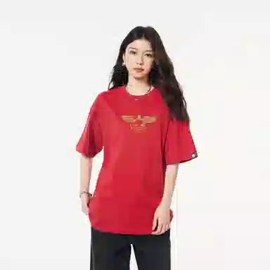 HIPANDA T