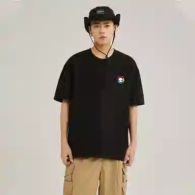 HIPANDA logoT 2
