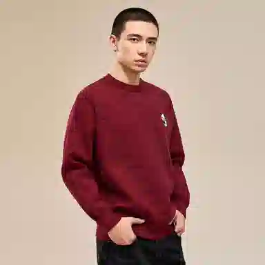 HIPANDA