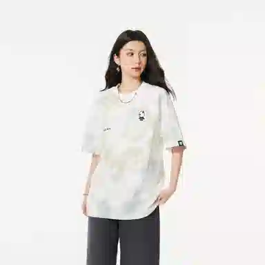 HIPANDA T