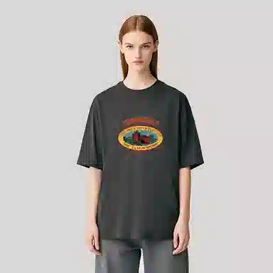 FAIRWHALE T