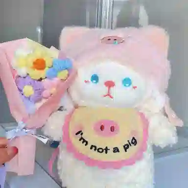 24cm
