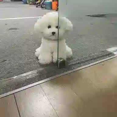 22cm35cm