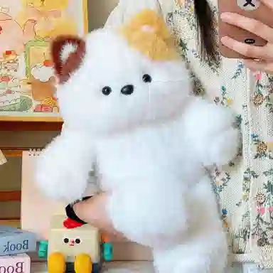 50cm
