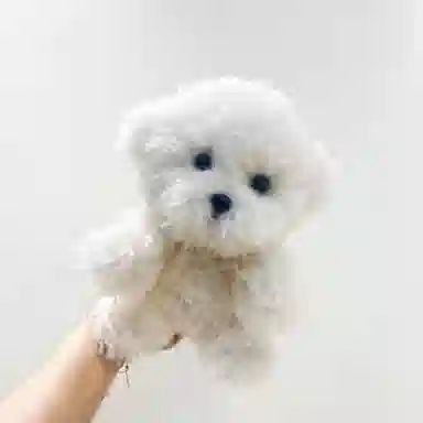 22cm35cm