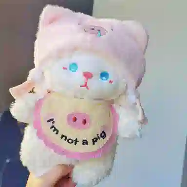 24cm