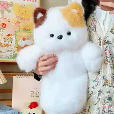 50cm