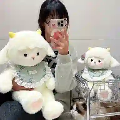 baby 45cm60cm40cm55cm70cm