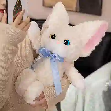 45cm60cm