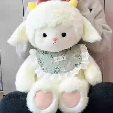 baby 45cm60cm40cm55cm70cm