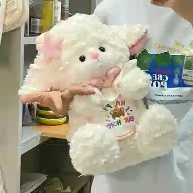 baby 45cm60cm40cm55cm70cm