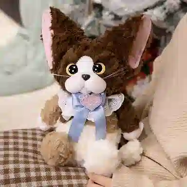 45cm60cm