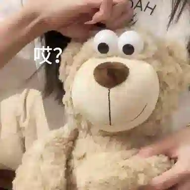 35cm45cm