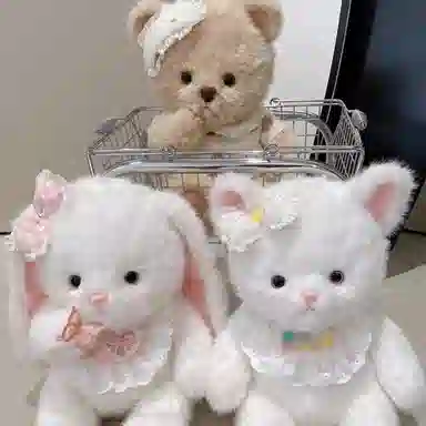 baby 45cm60cm40cm55cm70cm
