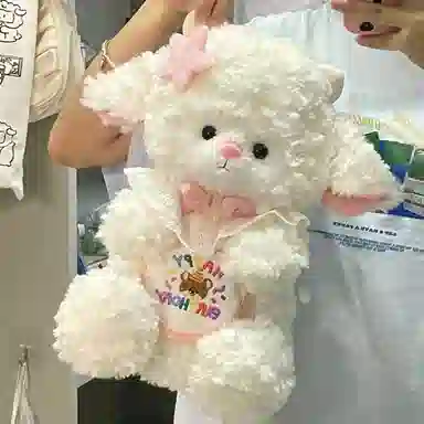 baby 45cm60cm40cm55cm70cm