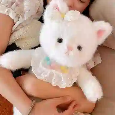 baby 45cm60cm40cm55cm70cm