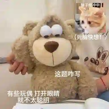 35cm45cm